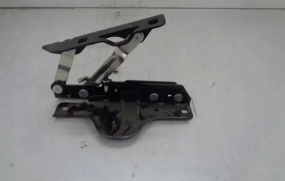 Tesla Model S Tailgate/trunk/boot hinge 102928500C 1029285