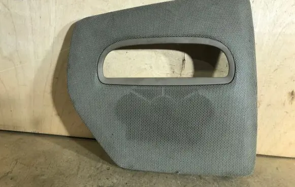 Radio/GPS head unit trim