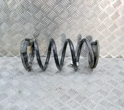 Tesla Model 3 Rear coil spring 104447201E