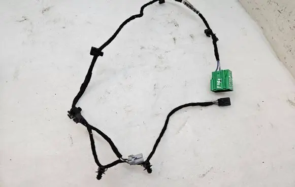 Ford Mach-E I Front door wiring loom LJ8T14B121 13885040