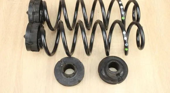 Rear coil spring