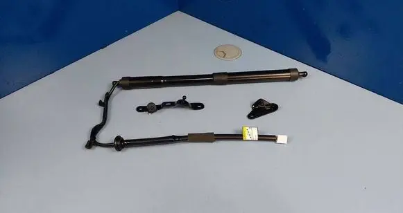Toyota RAV 4 (XA40) Tailgate/trunk strut/damper 6891009010