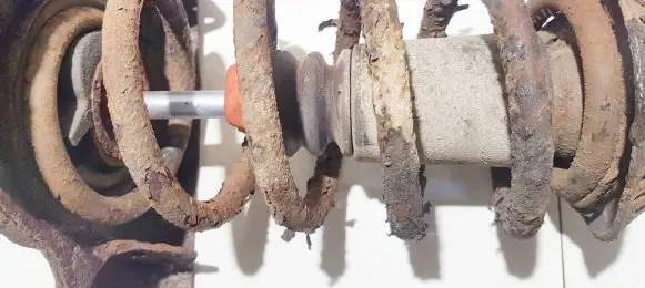 Front coil spring