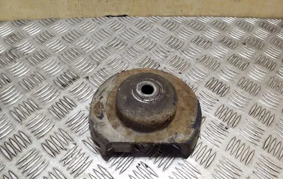 Coil spring mount