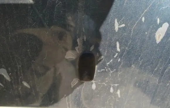 Windshield washer spray nozzle