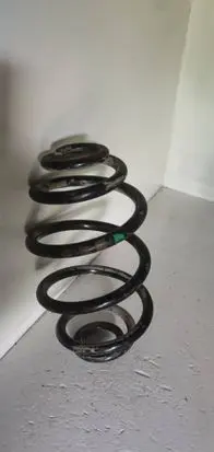 Rear coil spring