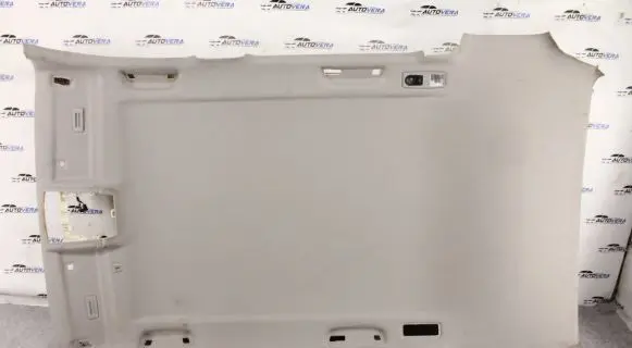 BMW X3 F25 Headlining 