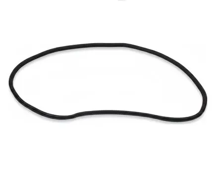 BMW 1 F70 Rubber seal front door (on door)