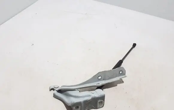 Renault Arkana Engine bonnet/hood hinges 654011786R