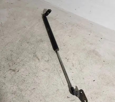 Tailgate strut