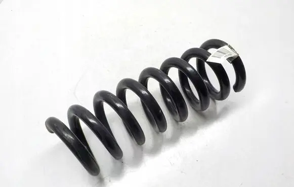 Rear coil spring