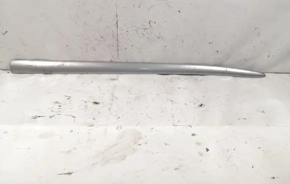 Ford Fiesta Front door trim (molding)