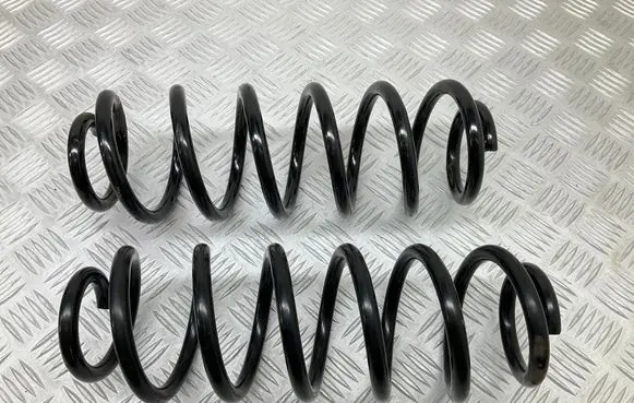 Rear coil spring