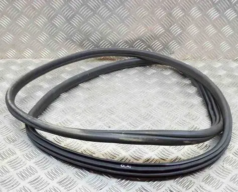 BMW X3M F97 Rubber seal rear door 7393449