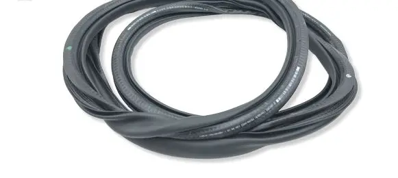 Citroen C4 III e-C4 Rubber seal rear door 9846995580