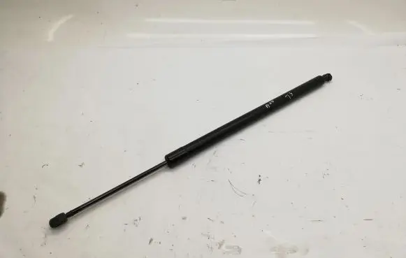 Tailgate/trunk strut/damper