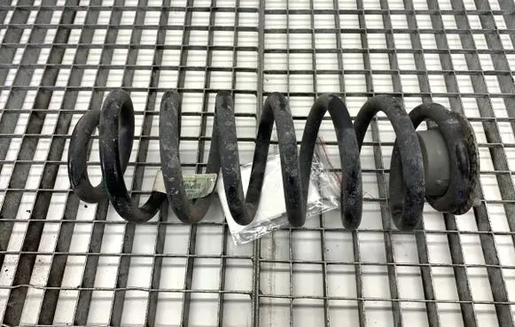 Rear coil spring
