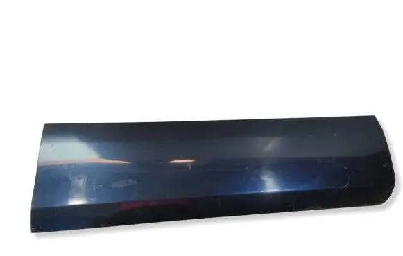 Toyota Land Cruiser (J120) Front door trim (molding) 7573160160