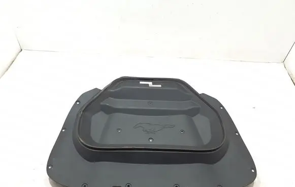 Ford Mach-E I Engine bonnet/hood lock trim molding LJ8BR16D672BC