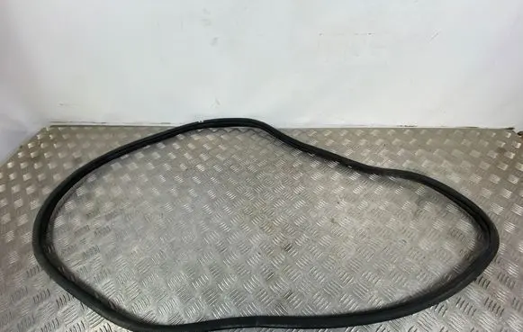 KIA Stinger Rear door rubber seal (on body) 