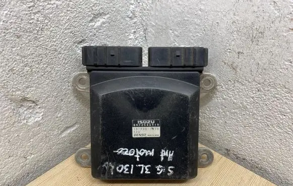 Opel Signum Fuel injection control unit/module 8972586910 1310001270