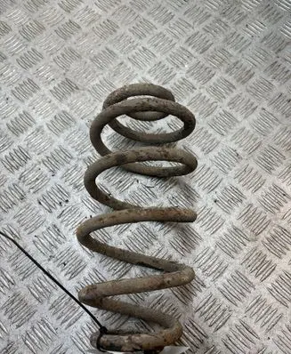 Opel Insignia A Rear coil spring 