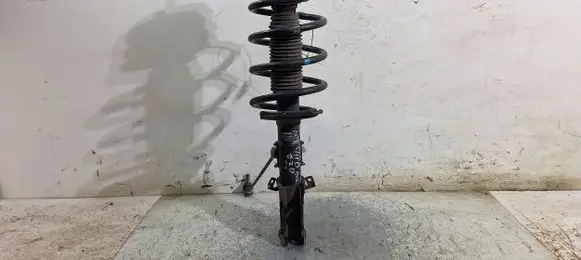 Mercedes-Benz Vito Viano W639 Front shock absorber/damper A6393203513