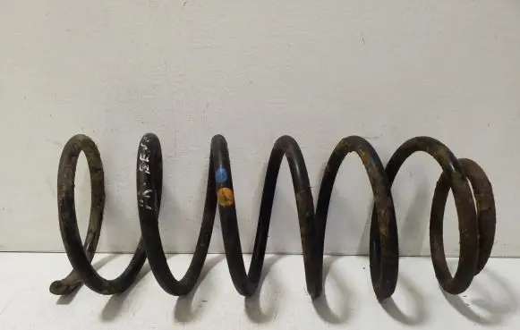 Front coil spring