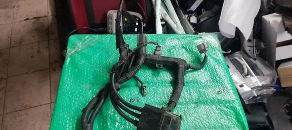 Hyundai Santa Fe Positive wiring loom 91971G8100