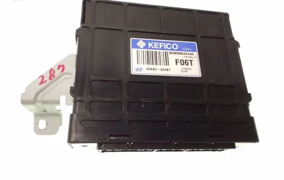 Hyundai Santa Fe Gearbox control unit/module 954403A381
