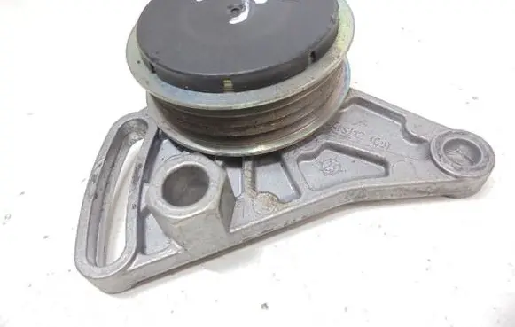 Volkswagen PASSAT B5 Timing belt/chain tensioner F-230875