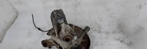 Volkswagen PASSAT B6 Front wheel hub spindle knuckle