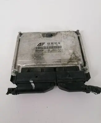 Volkswagen PASSAT B5.5 Engine control unit/module 038906019NA 0281011822