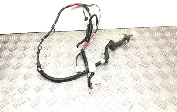 Rear door wiring loom