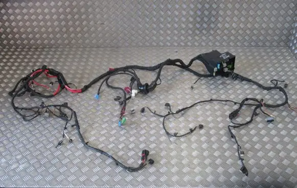 Mercedes-Benz AMG GT 4 x290 w290 Positive wiring loom 
