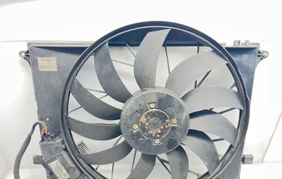 Mercedes-Benz S W220 Electric radiator cooling fan A2205000193