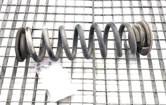 Opel Insignia B Rear coil spring