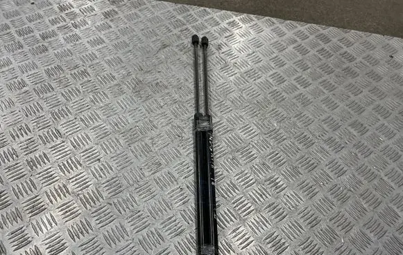 Opel Insignia B Tailgate/trunk strut/damper 39115292