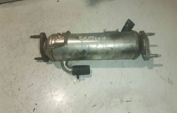 Chevrolet Captiva EGR valve cooler GMDAT96817829