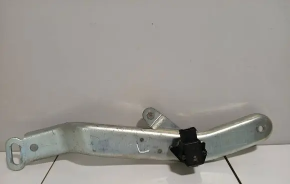 Volkswagen Phaeton Tailgate/trunk/boot hinge 3D5827582B
