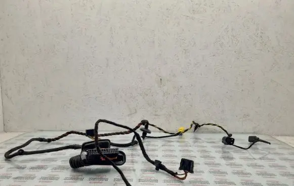 Volkswagen PASSAT CC Front door wiring loom 3C8971120BS