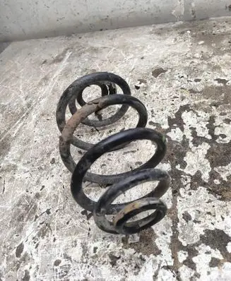 Volkswagen PASSAT B5.5 Rear coil spring 
