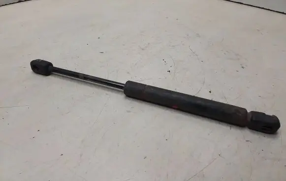 Tailgate/trunk strut/damper