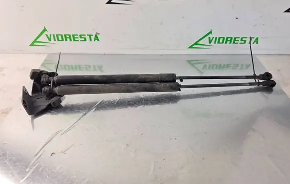 Tailgate/trunk strut/damper