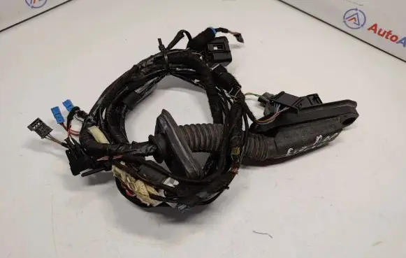 BMW X5 E70 Front door wiring loom 6900923 61129203295