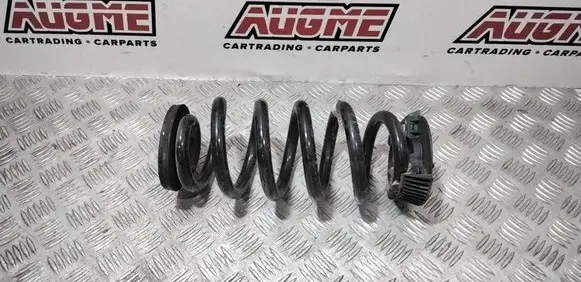 Skoda Enyaq iV Rear coil spring 1EA511103G