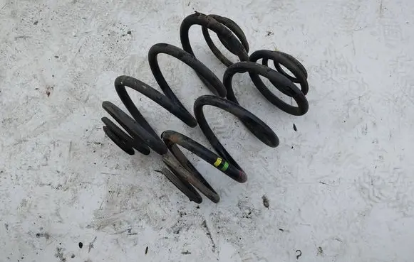 Renault Trafic III (X82) Rear coil spring 