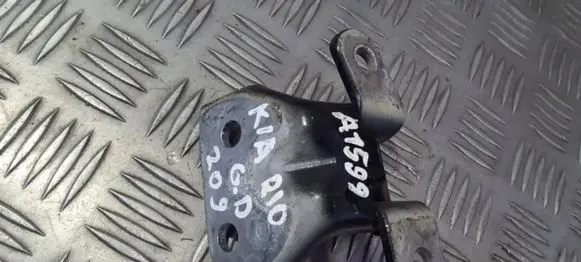 KIA Rio Rear door lower hinge
