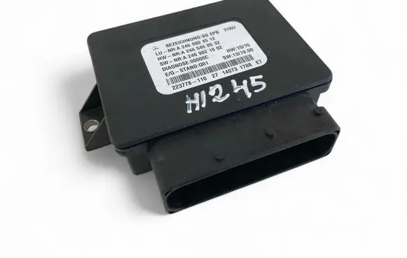 Mercedes-Benz A W176 Other control units/modules A2469004512