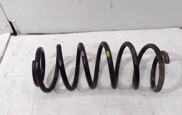Opel Antara Front coil spring